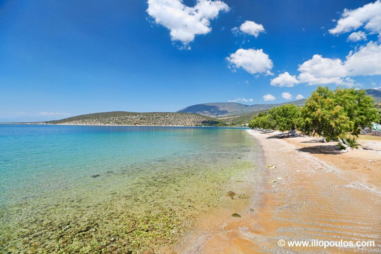 Arilena Studios Paralia  ภายนอก รูปภาพ